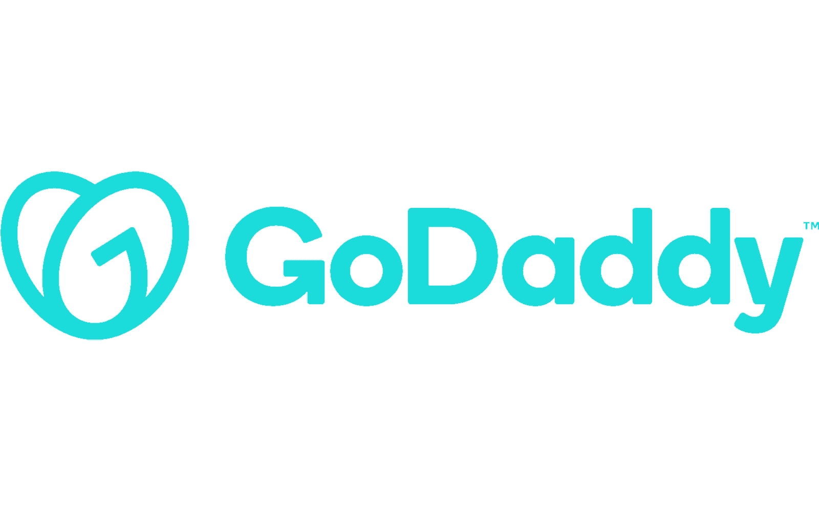 GoDaddy logo