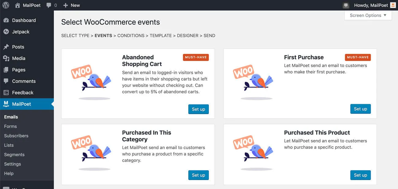 Mailpoet dashboard